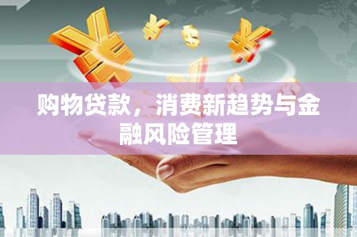 宜秀购物贷款，消费新趋势与金融风险管理