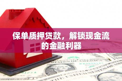 宜秀保单质押贷款，解锁现金流的金融利器