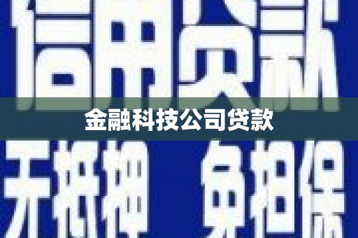 宜秀金融科技公司贷款