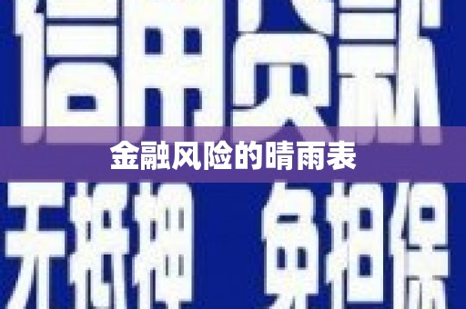 宜秀金融风险的晴雨表