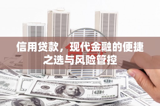 宜秀信用贷款，现代金融的便捷之选与风险管控