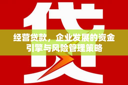 宜秀经营贷款，企业发展的资金引擎与风险管理策略