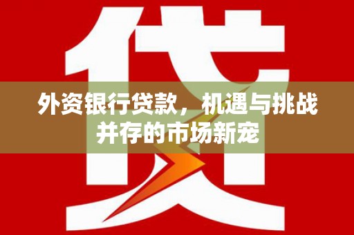 宜秀外资银行贷款，机遇与挑战并存的市场新宠