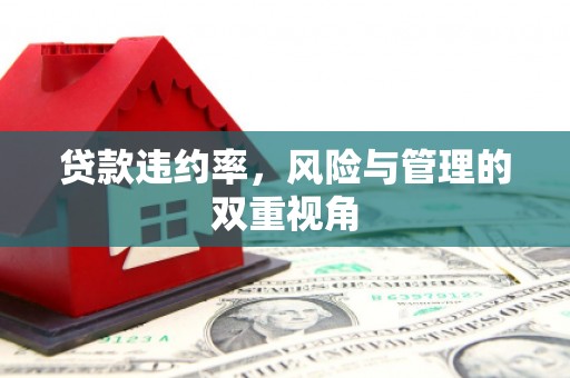 宜秀贷款违约率，风险与管理的双重视角