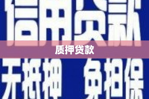 宜秀质押贷款