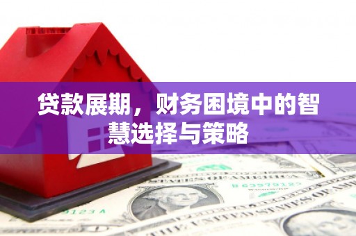 宜秀贷款展期，财务困境中的智慧选择与策略