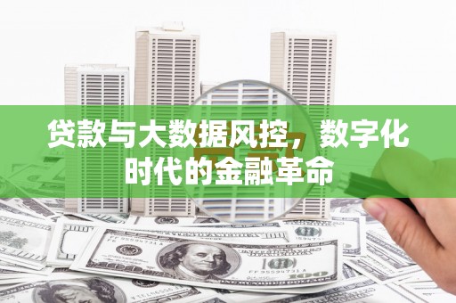 宜秀贷款与大数据风控，数字化时代的金融革命