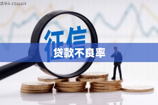 宜秀贷款不良率