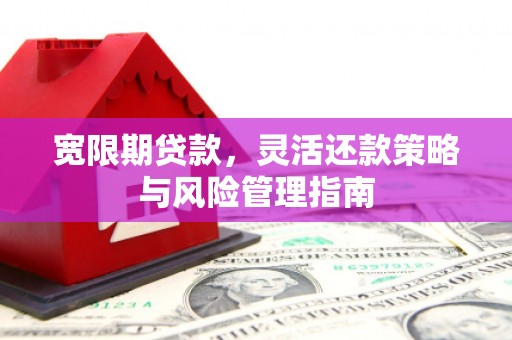 宜秀宽限期贷款，灵活还款策略与风险管理指南