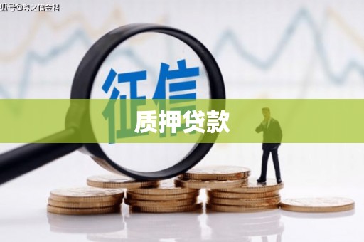 宜秀质押贷款