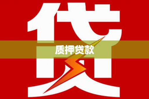 宜秀质押贷款