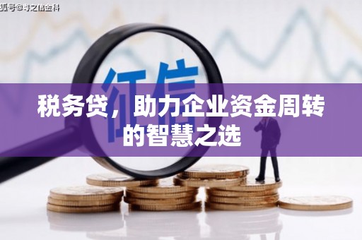 宜秀税务贷，助力企业资金周转的智慧之选