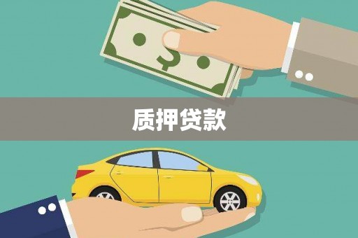 宜秀质押贷款