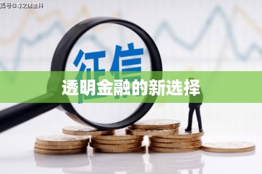 宜秀透明金融的新选择