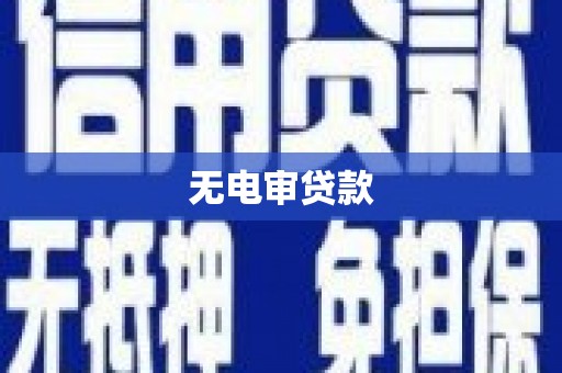 宜秀无电审贷款