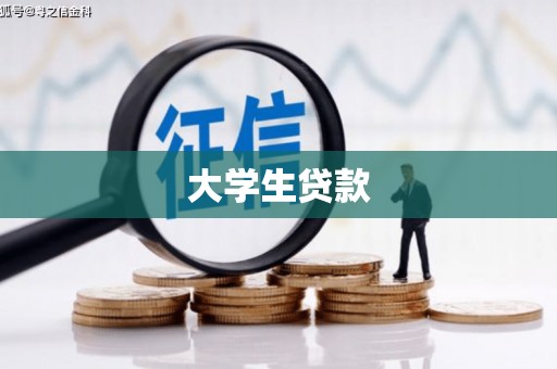 宜秀大学生贷款