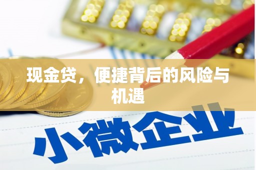 宜秀现金贷，便捷背后的风险与机遇