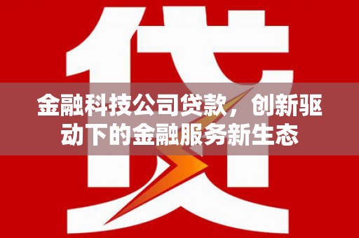 宜秀金融科技公司贷款，创新驱动下的金融服务新生态
