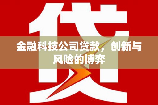 宜秀金融科技公司贷款，创新与风险的博弈