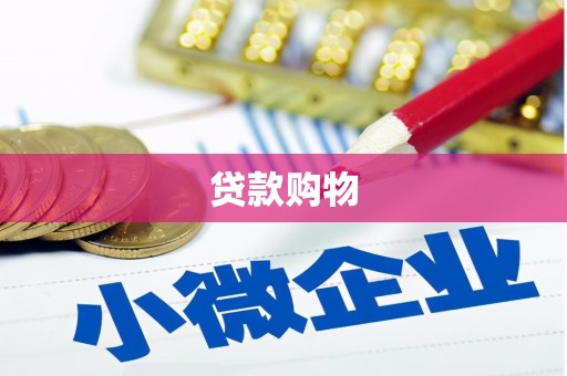 宜秀贷款购物