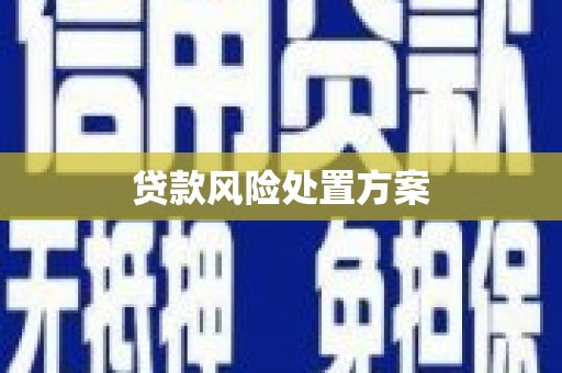 宜秀贷款风险处置方案