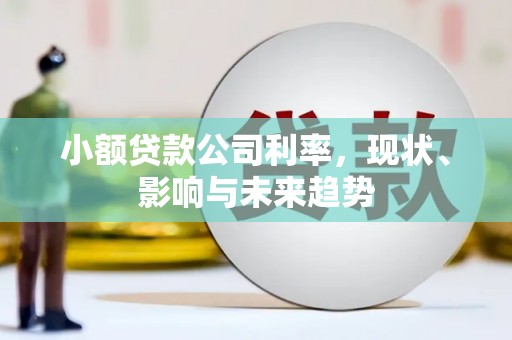 宜秀小额贷款公司利率，现状、影响与未来趋势