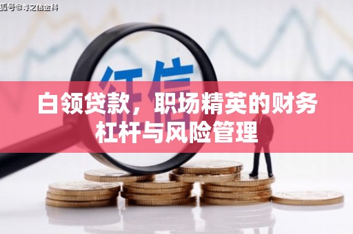 宜秀白领贷款，职场精英的财务杠杆与风险管理