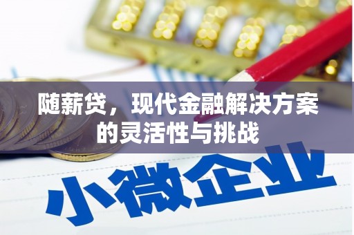 宜秀随薪贷，现代金融解决方案的灵活性与挑战