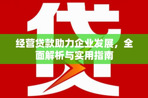 宜秀经营贷款助力企业发展，全面解析与实用指南