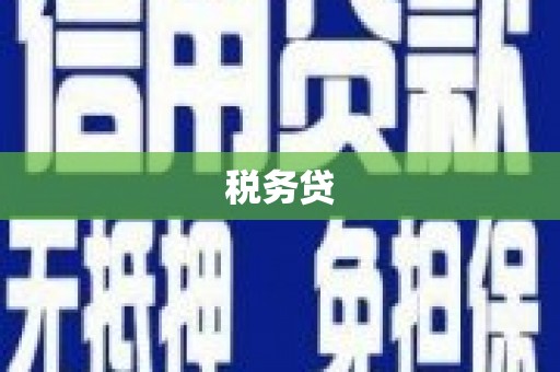 宜秀税务贷