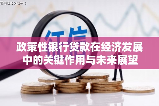 宜秀政策性银行贷款在经济发展中的关键作用与未来展望