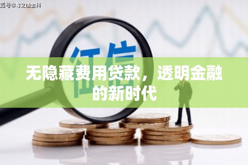 宜秀无隐藏费用贷款，透明金融的新时代