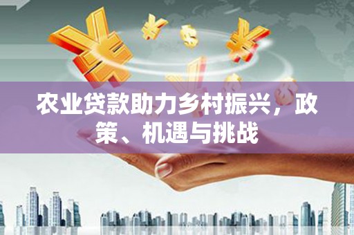 宜秀农业贷款助力乡村振兴，政策、机遇与挑战