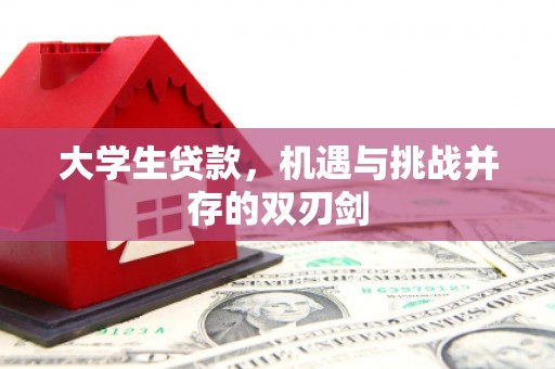 宜秀大学生贷款，机遇与挑战并存的双刃剑