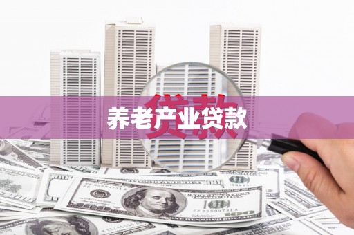 宜秀养老产业贷款