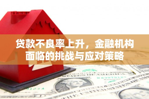 宜秀贷款不良率上升，金融机构面临的挑战与应对策略