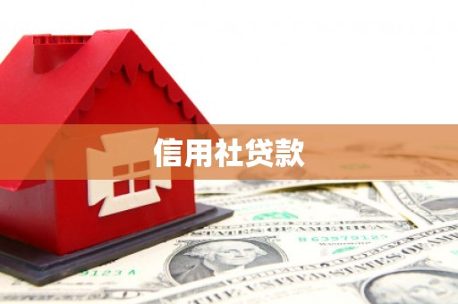 宜秀信用社贷款