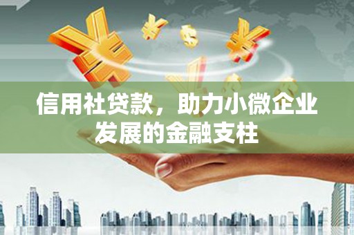 宜秀信用社贷款，助力小微企业发展的金融支柱