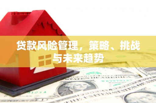 宜秀贷款风险管理，策略、挑战与未来趋势