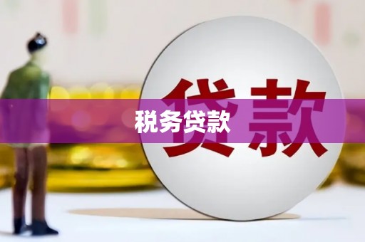 宜秀税务贷款