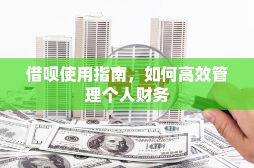 宜秀借呗使用指南，如何高效管理个人财务