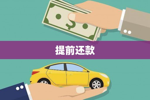 宜秀提前还款
