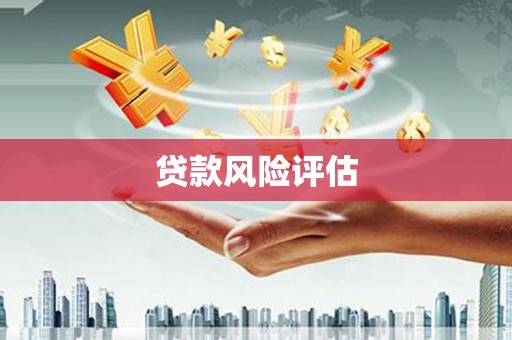 宜秀贷款风险评估