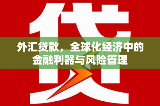宜秀外汇贷款，全球化经济中的金融利器与风险管理