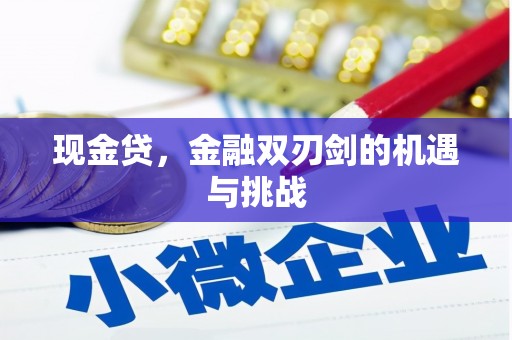 宜秀现金贷，金融双刃剑的机遇与挑战