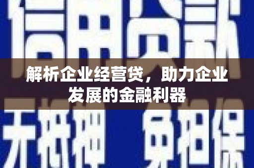 宜秀解析企业经营贷，助力企业发展的金融利器