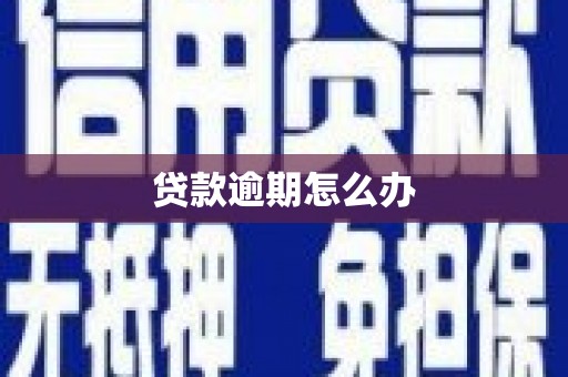 宜秀贷款逾期怎么办