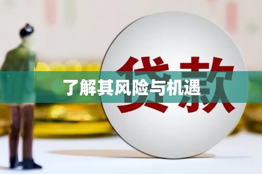 宜秀了解其风险与机遇