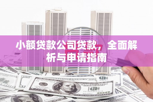 宜秀小额贷款公司贷款，全面解析与申请指南