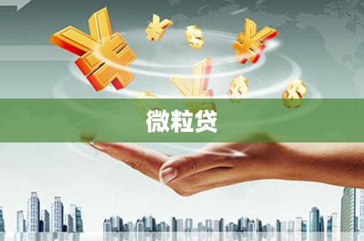 宜秀微粒贷